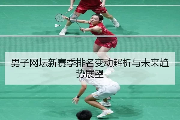 男子网坛新赛季排名变动解析与未来趋势展望